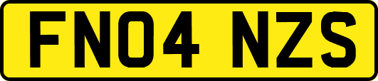 FN04NZS