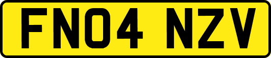 FN04NZV