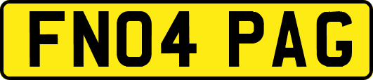 FN04PAG