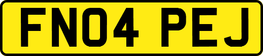 FN04PEJ