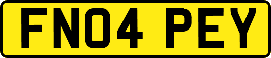 FN04PEY