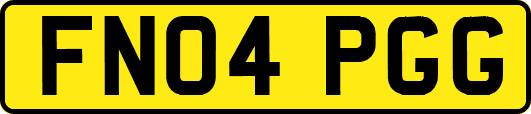 FN04PGG
