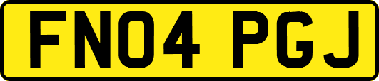 FN04PGJ