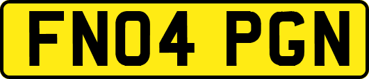 FN04PGN