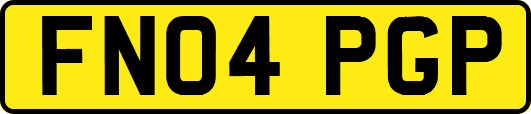FN04PGP