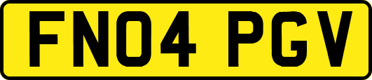 FN04PGV
