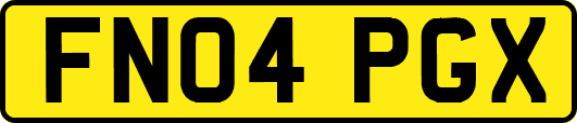 FN04PGX