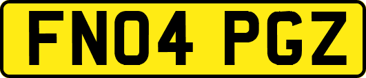 FN04PGZ