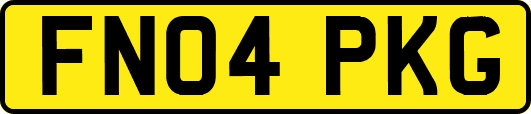 FN04PKG