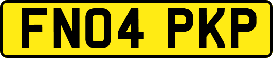FN04PKP