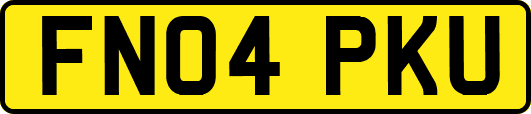 FN04PKU