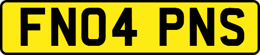 FN04PNS