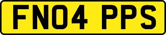 FN04PPS