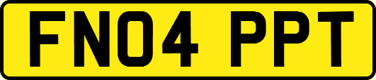 FN04PPT
