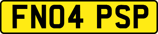 FN04PSP