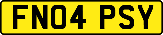 FN04PSY