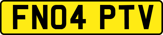 FN04PTV