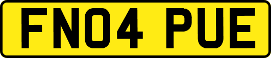 FN04PUE