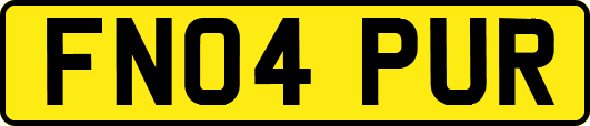FN04PUR