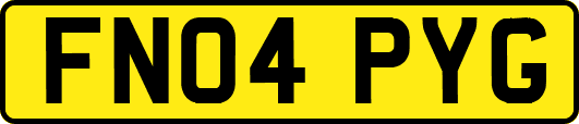 FN04PYG