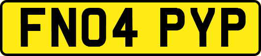 FN04PYP