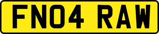 FN04RAW