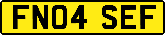 FN04SEF
