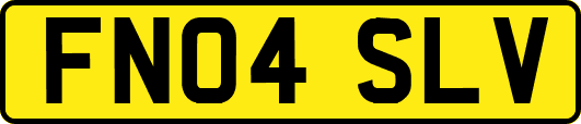 FN04SLV