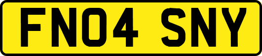 FN04SNY