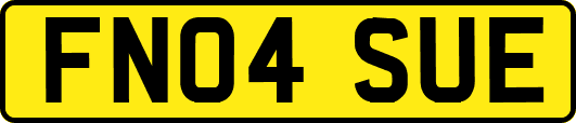 FN04SUE
