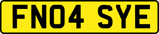 FN04SYE