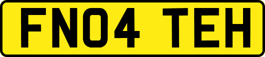 FN04TEH
