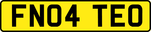 FN04TEO