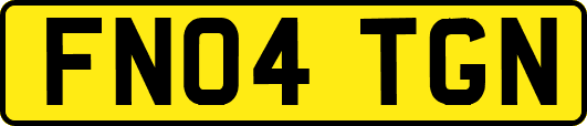 FN04TGN