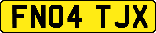 FN04TJX