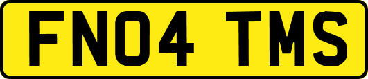 FN04TMS