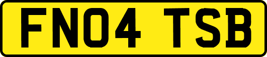 FN04TSB