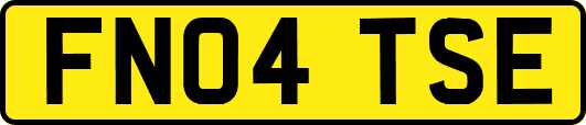 FN04TSE