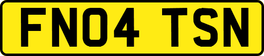 FN04TSN