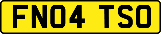 FN04TSO