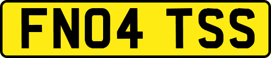 FN04TSS