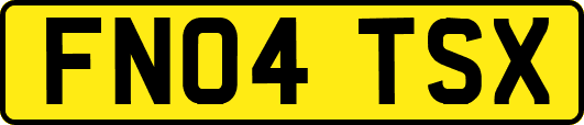 FN04TSX