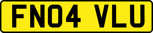 FN04VLU