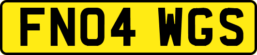 FN04WGS