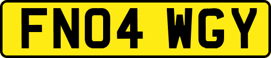 FN04WGY
