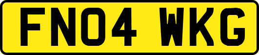 FN04WKG