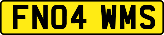 FN04WMS