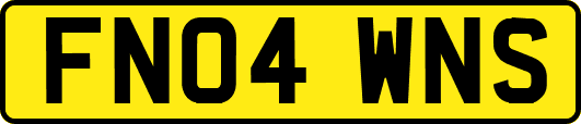 FN04WNS
