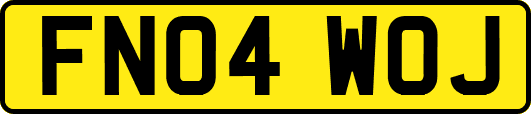 FN04WOJ