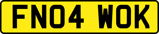 FN04WOK